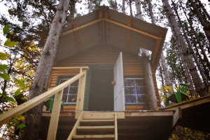 בית עץ הוא שיטת הבנייה היעילה ביותר